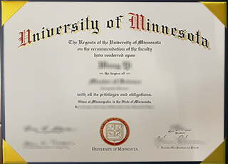 University of Minnesota degree