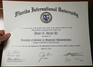 Florida International University degree