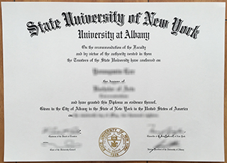 University at Albany diploma