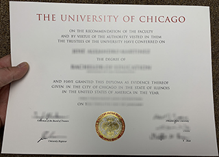 University of Chicago degree