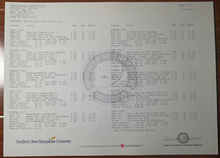 Southern New Hampshire University transcript