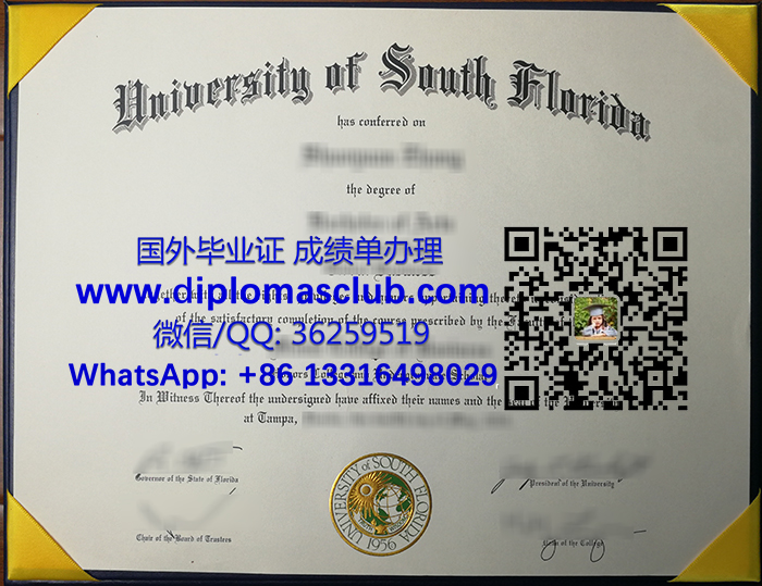 University of South Florida degree