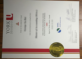 York University Schulich School of Business diploma