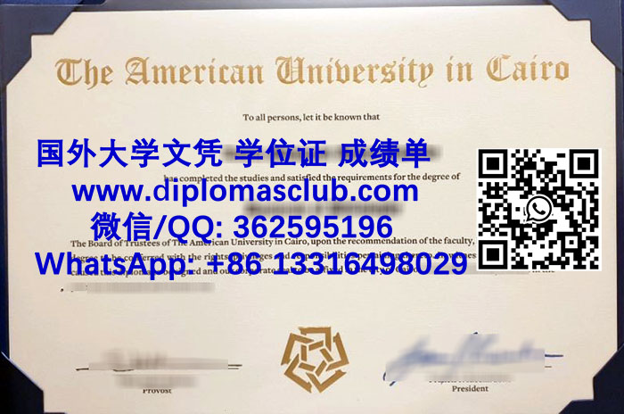 American University in Cairo diploma