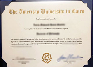 American University in Cairo degree