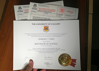 University of Calgary degree and transcript