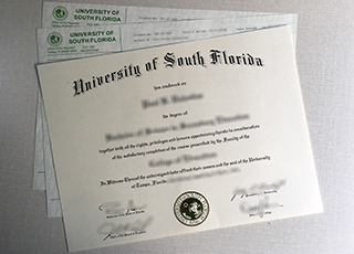 USF diploma and transcript