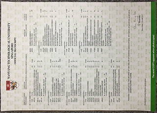 Nanyang Technological University transcript