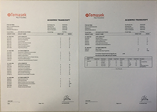 Temasek Polytechnic transcript