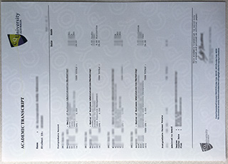 Central Queensland University transcript