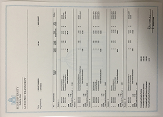 SEGi University transcript