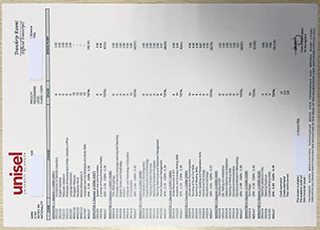 Selangor University transcript