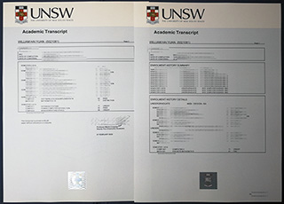 UNSW transcript