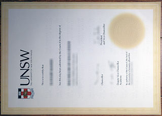 University of New South Wales degree