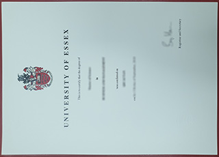 University of Essex diploma