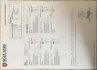 Ngee Ann Polytechnic transcript