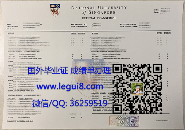 National University of Singapore transcript