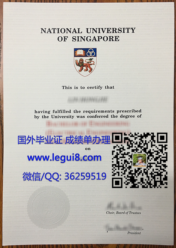 National University of Singapore degree