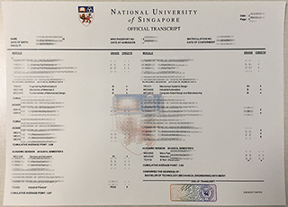 National University of Singapore transcript