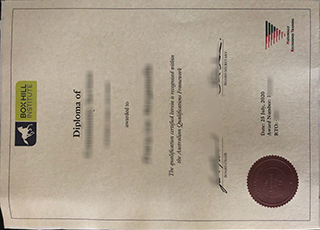 Box Hill Institute diploma