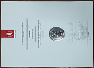 Brock University diploma