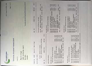 Camosun College transcript