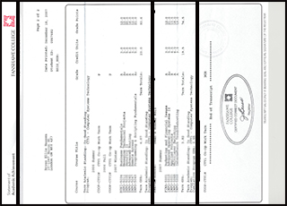 Fanshawe College transcript