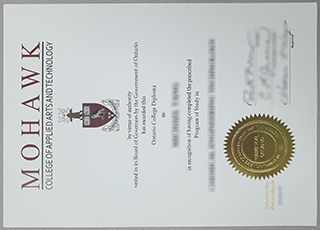 Mohawk college diploma