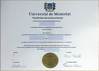 Université de Montréal degree