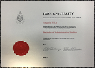 York University degree