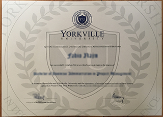 Yorkville University degree