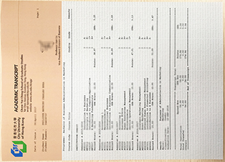 City University of Hong Kong transcript