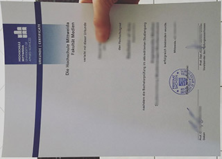 Hochschule Mittweida diploma