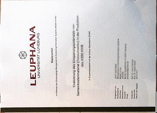 Leuphana Universität Lüneburg diploma