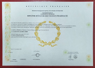 Université Paris-Sud diploma