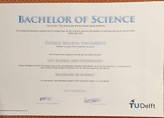 Technische Universiteit Delft degree