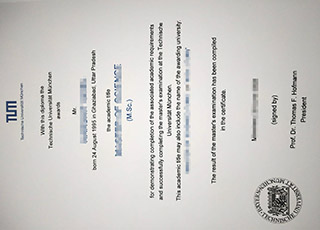 Technische Universität München diploma