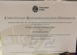 Universiteit Leiden diploma