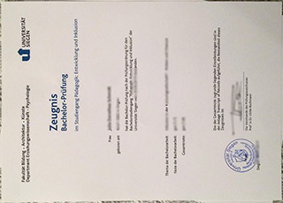 Universitt Siegen diploma