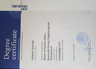 Universität Freiburg diploma