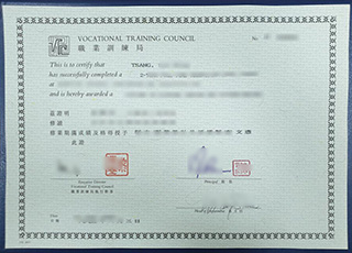 Vocational Training Council diploma