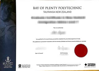 Bay of Plenty Polytechnic degree