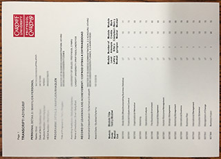 Cardiff University transcript