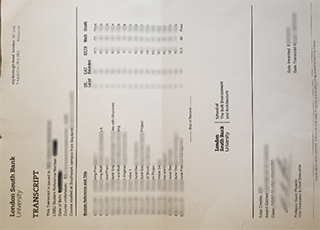 London South Bank University transcript