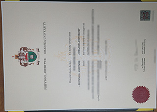 Swansea University diploma