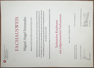 Swiss qualification certificate