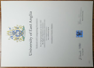 University of East Anglia degree