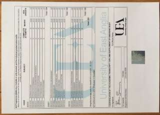 University of East Anglia transcript