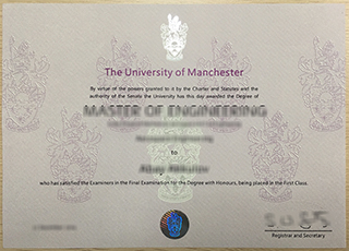 University of Manchester degree