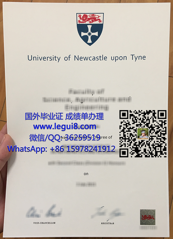 University of Newcastle upon Tyne degree